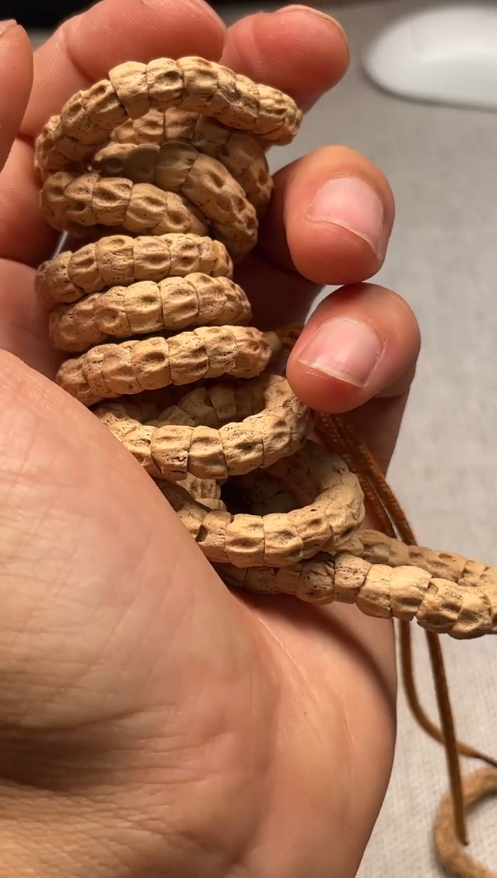 手串柏香籽/百香籽百香籽肠6