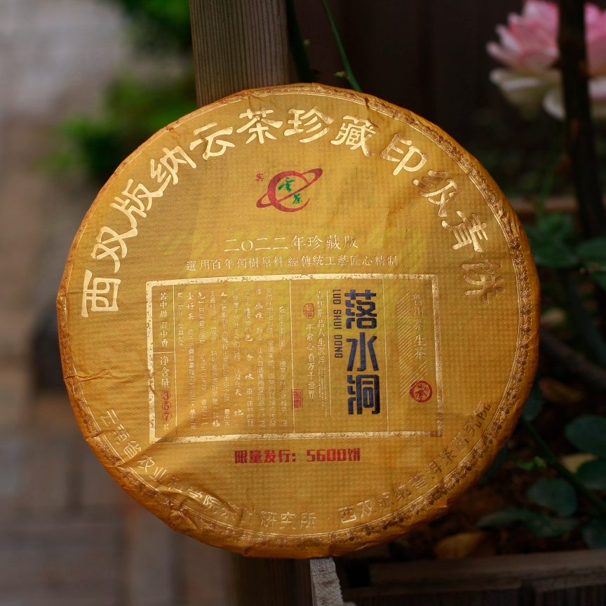 2022年 落水洞 普洱生茶357克/饼