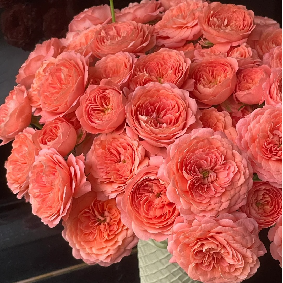 杏色果汁【花王多头】该品种不耐运输，请凑单升级快递保护花花