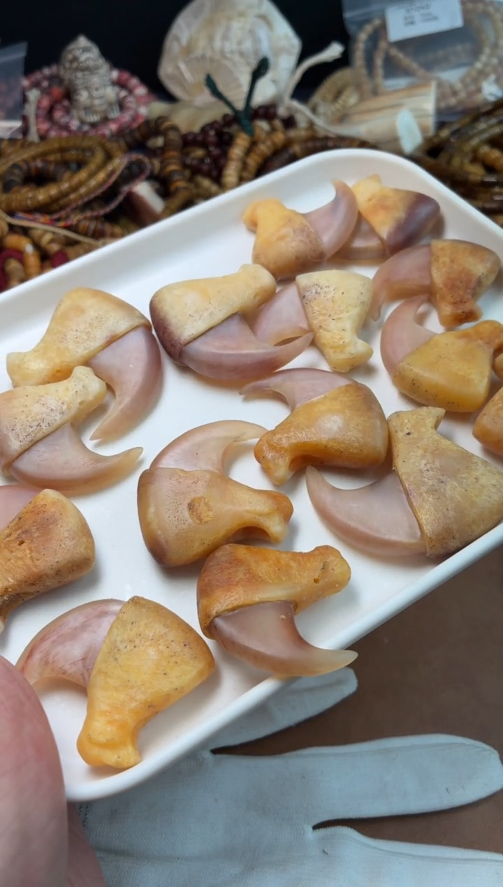 牛骨其他杂件213-工艺品钩子牛骨材质