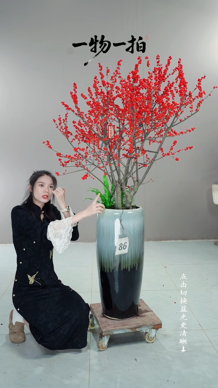 无花朵天*啦86号链接