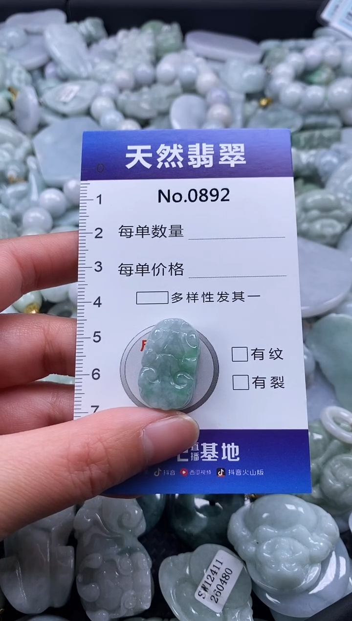 【闪购商品】翡翠颈饰未镶嵌缅甸A货翡翠0892