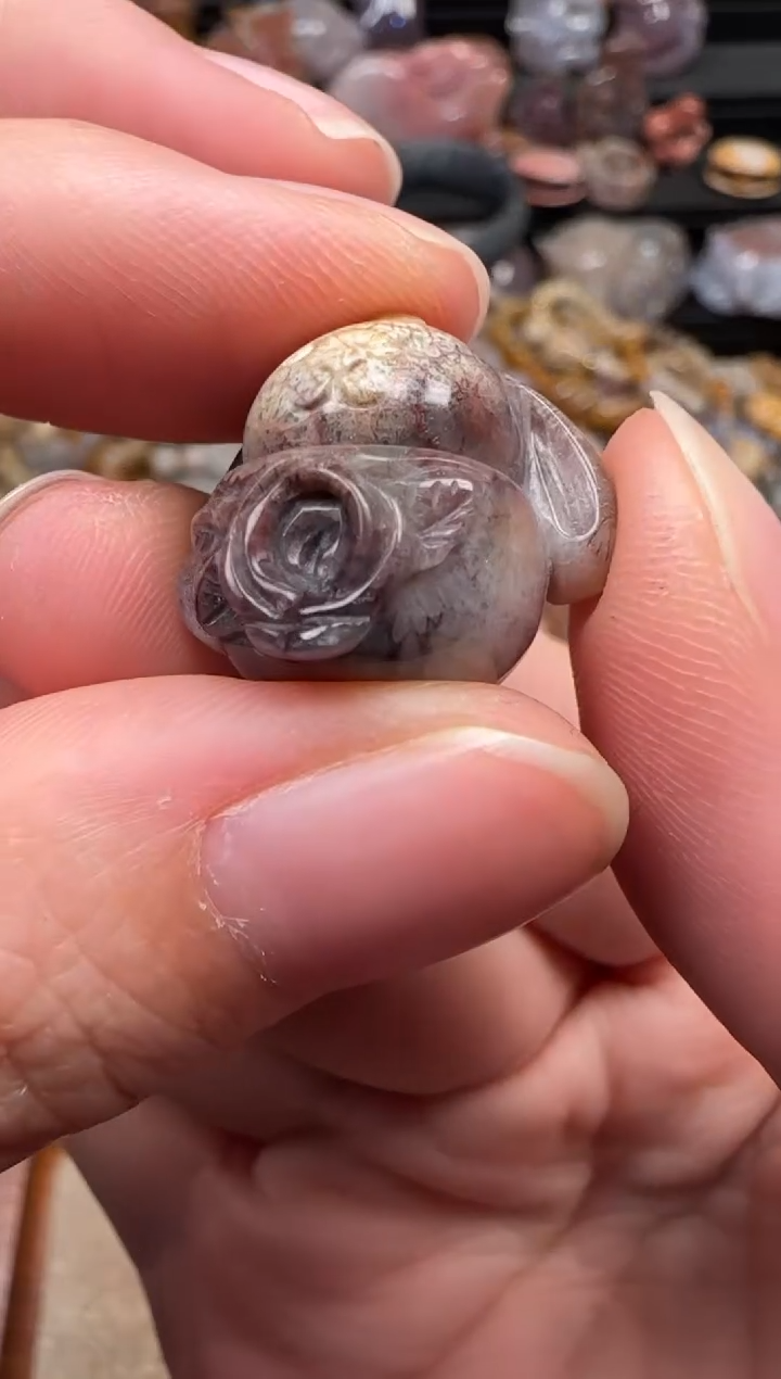 颈饰未镶嵌硅化珊瑚（珊瑚玉）502