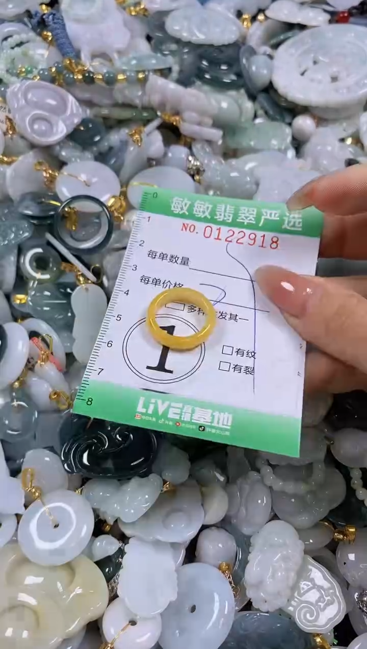 【闪购商品】翡翠颈饰未镶嵌闪购0122918