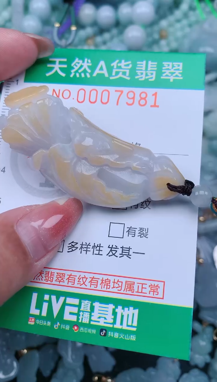 【闪购商品】翡翠颈饰未镶嵌.0007981