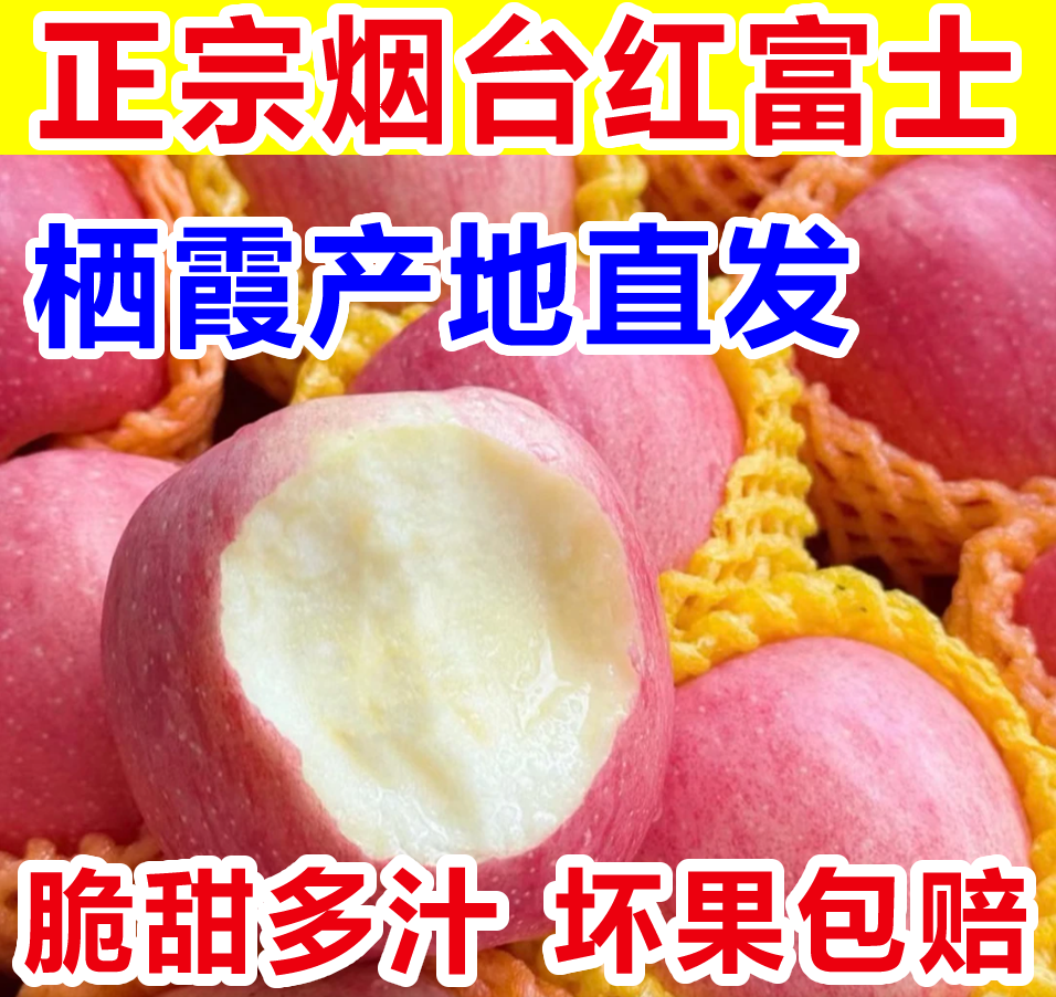 【主播推荐】当季山东烟台栖霞红富士苹果新鲜脆甜多汁水果产地直发