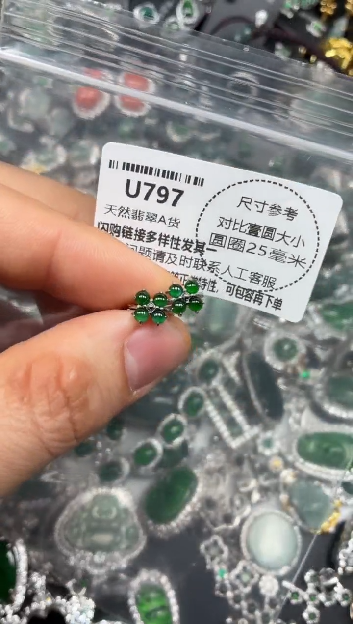 颈饰未镶嵌翡翠U797耳扣