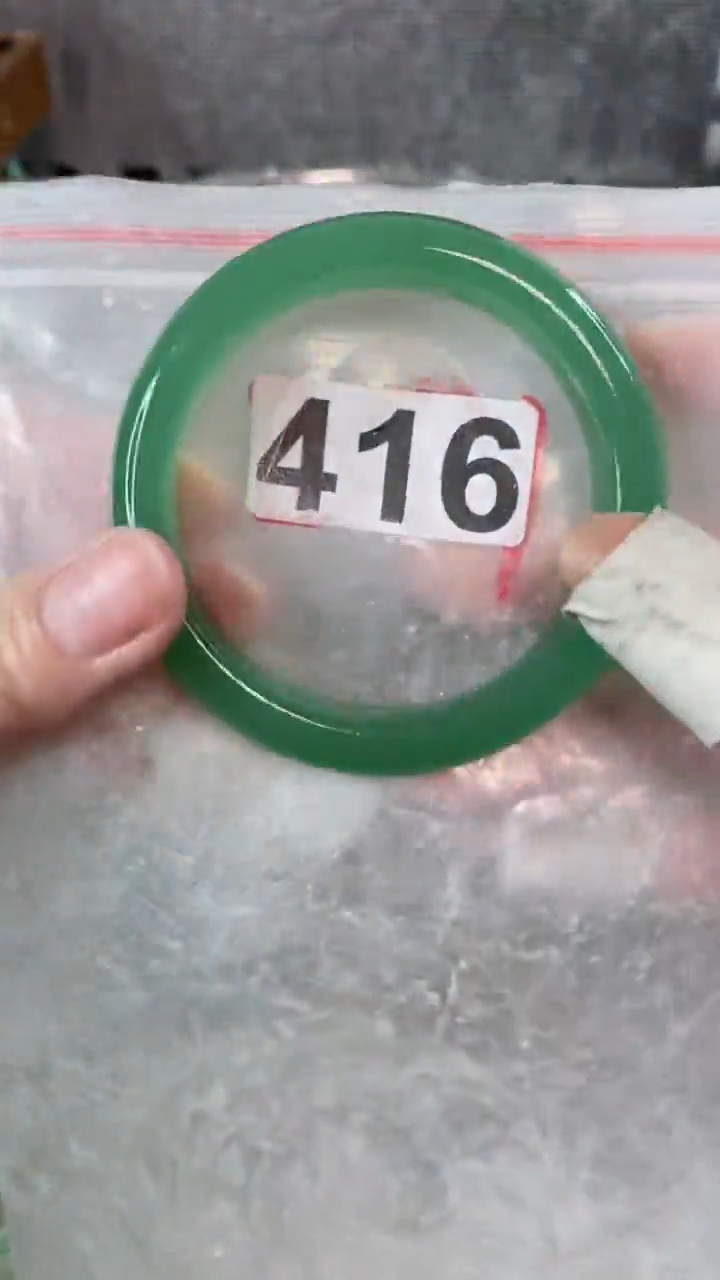 【闪购商品】石英质玉手镯未镶嵌416+