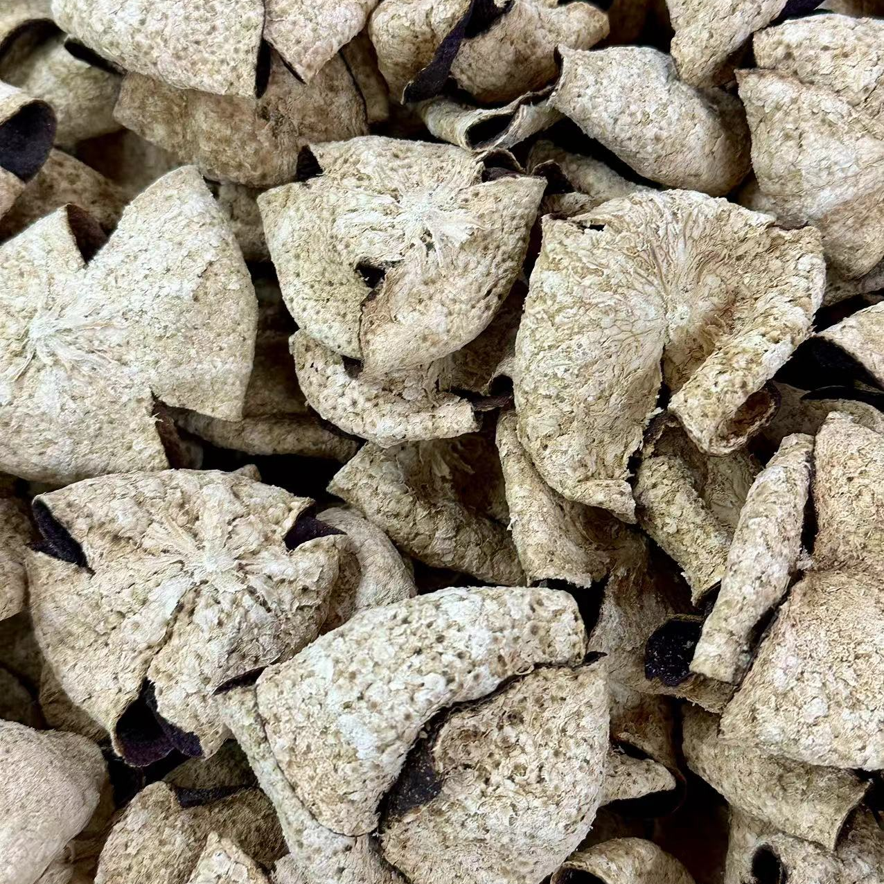 【马董精选】新会陈皮 2017年东甲牛比围圈枝二红折花皮