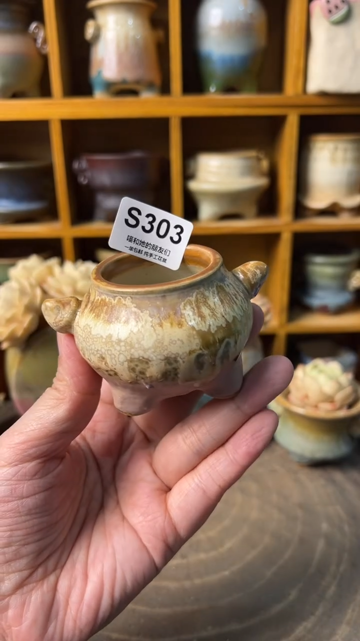 303 内口4【多肉花盆多肉盆】