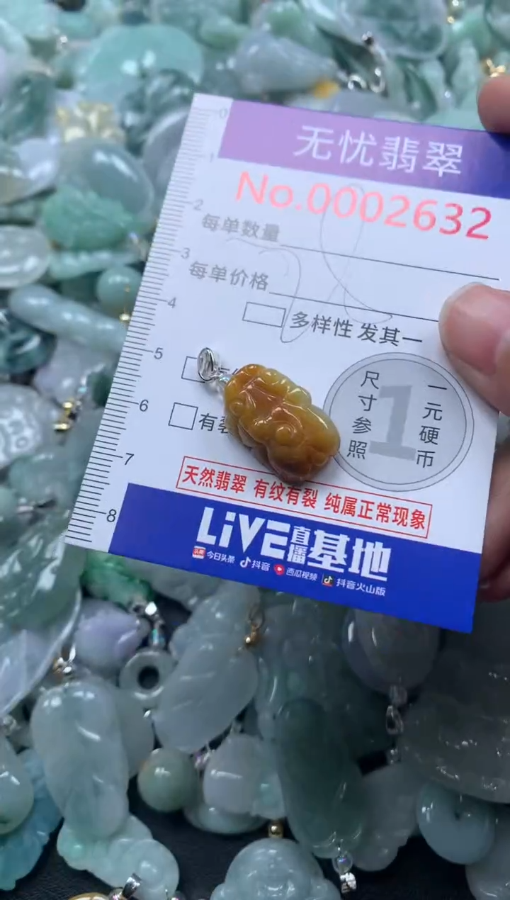 颈饰未镶嵌翡翠2632