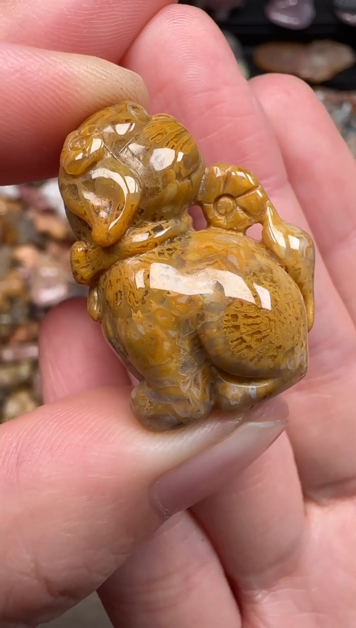 硅化珊瑚（珊瑚玉）未镶嵌颈饰413