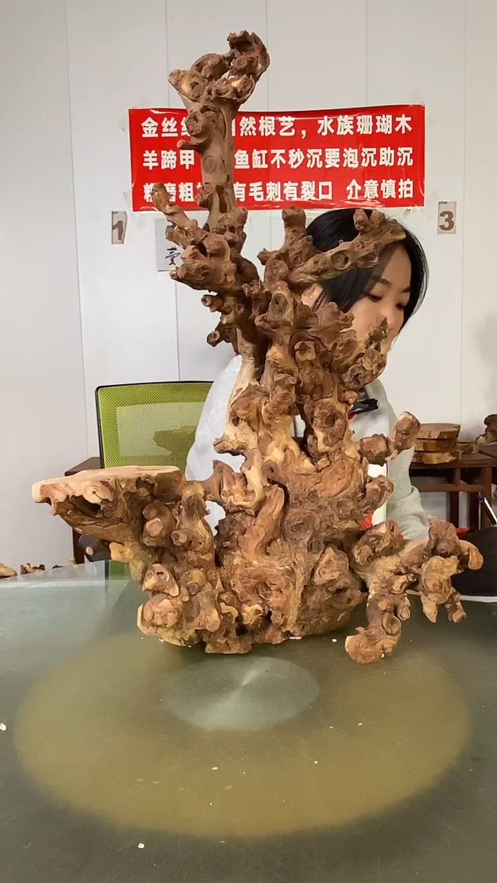 木@****꧂金丝红木  羊蹄甲