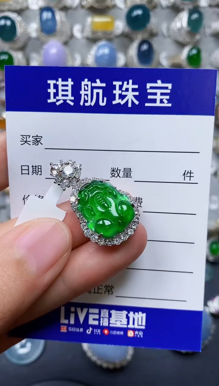 【闪购商品】翡翠颈饰银S925镶嵌0198