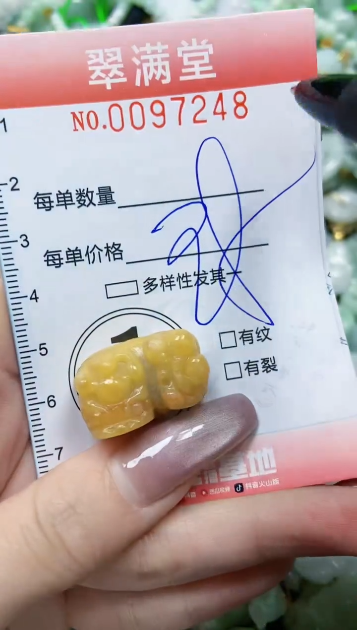 【闪购商品】翡翠颈饰未镶嵌闪购0097248