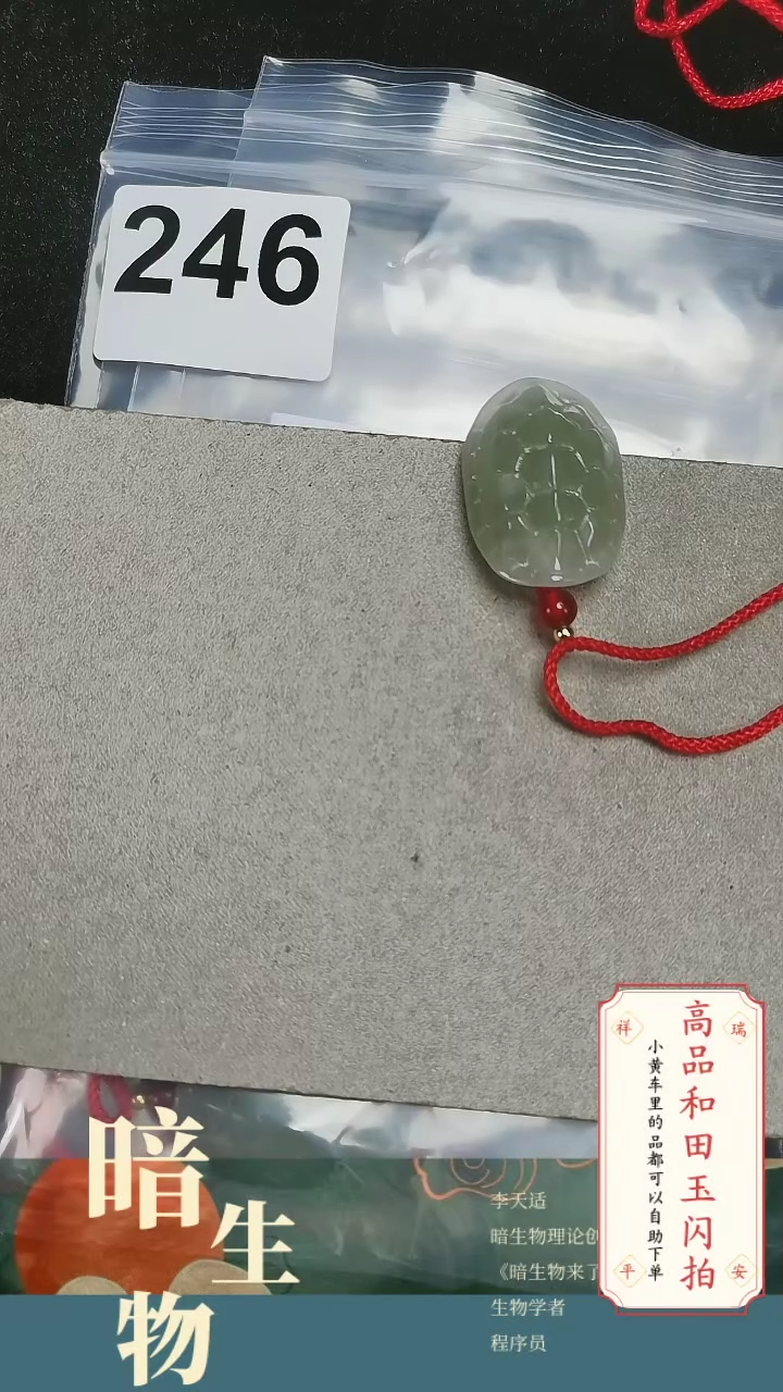 【闪购商品】和田玉吊坠(赠链)未镶嵌246