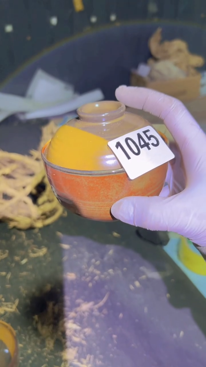 【闪购商品】盘磁州窑买到就是赚到