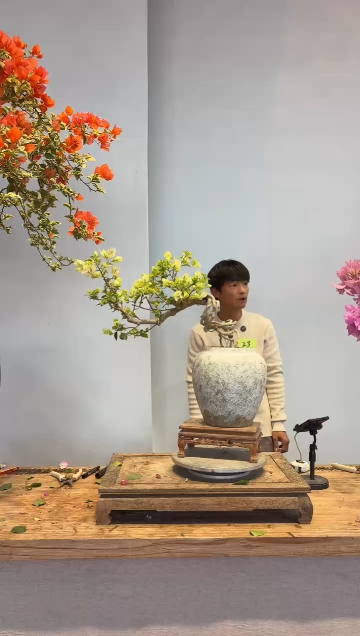 以实际为准一****底三角梅23