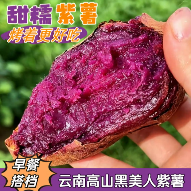 云南黑美人紫薯  糖心紫薯可烤蜜薯地瓜 净重3-9斤