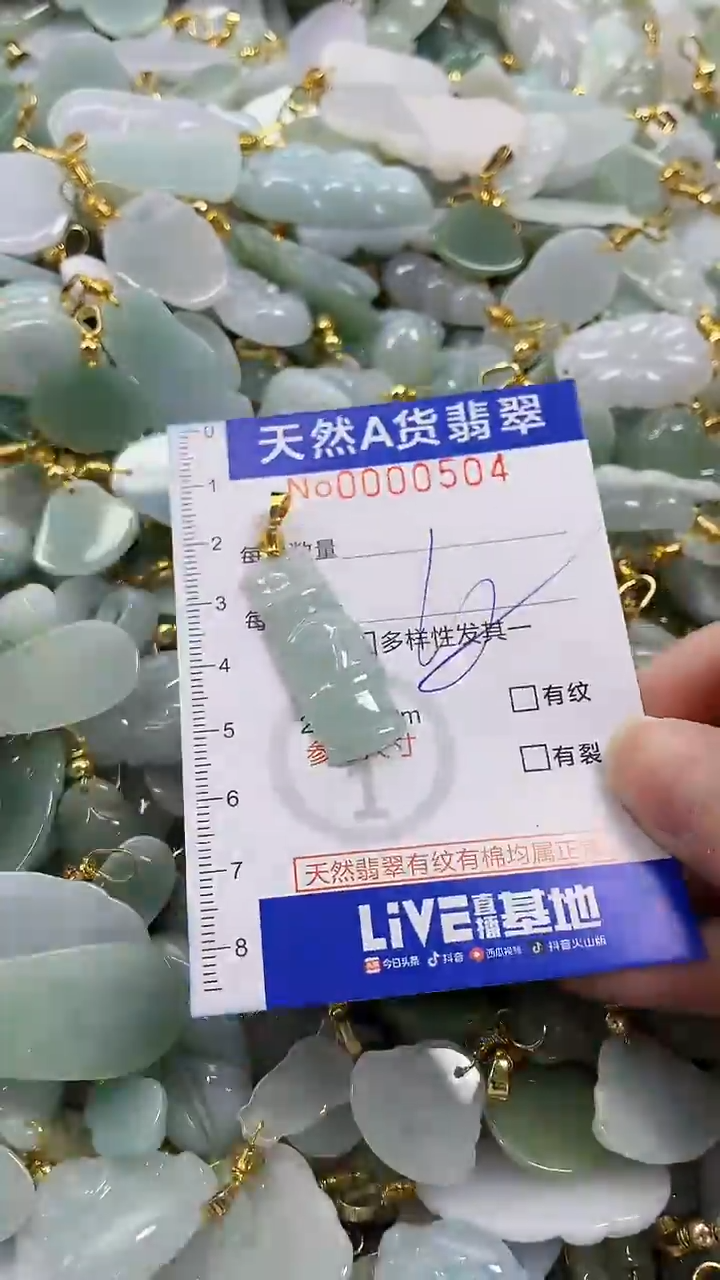 颈饰未镶嵌翡翠纯天然a货翡翠