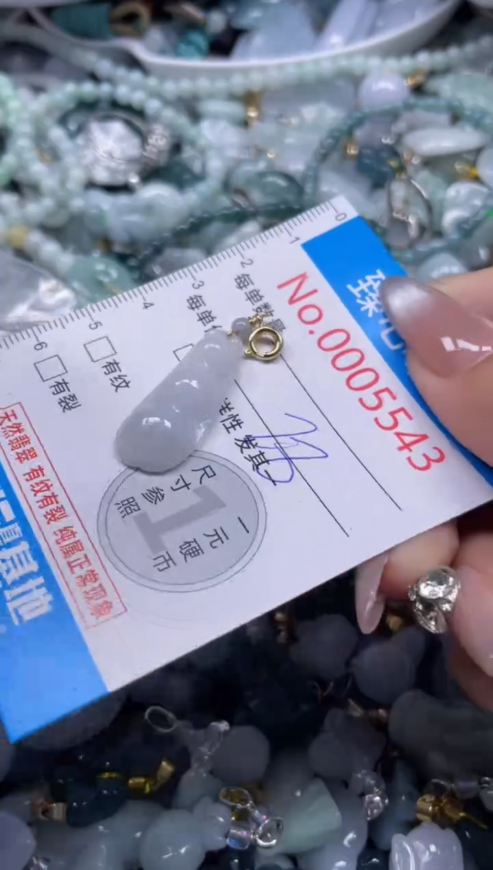 颈饰未镶嵌翡翠5543