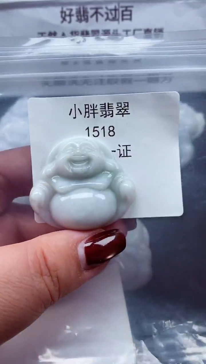颈饰未镶嵌翡翠缅甸天然A货翡翠1518
