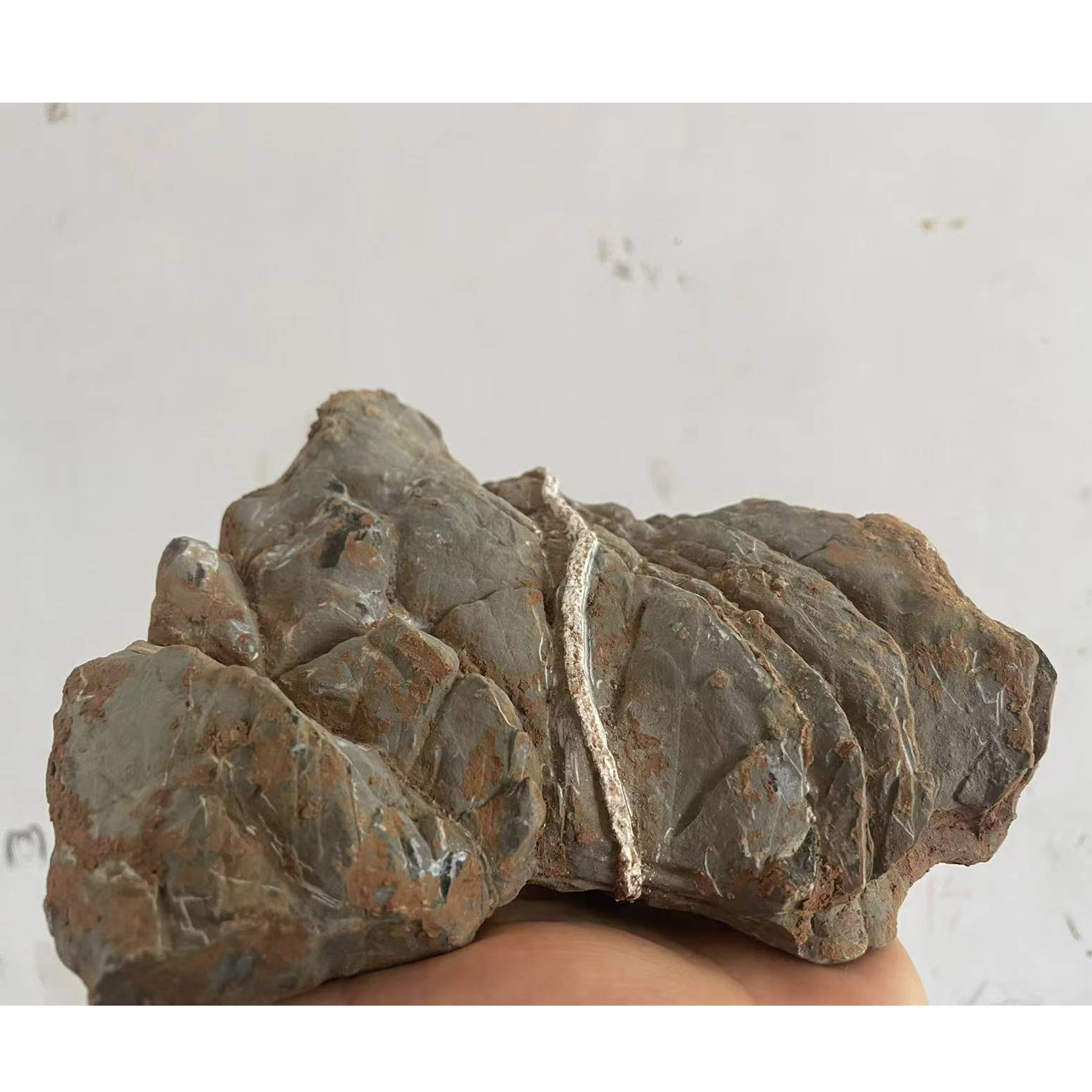 灵璧石原石家居摆件付米链接