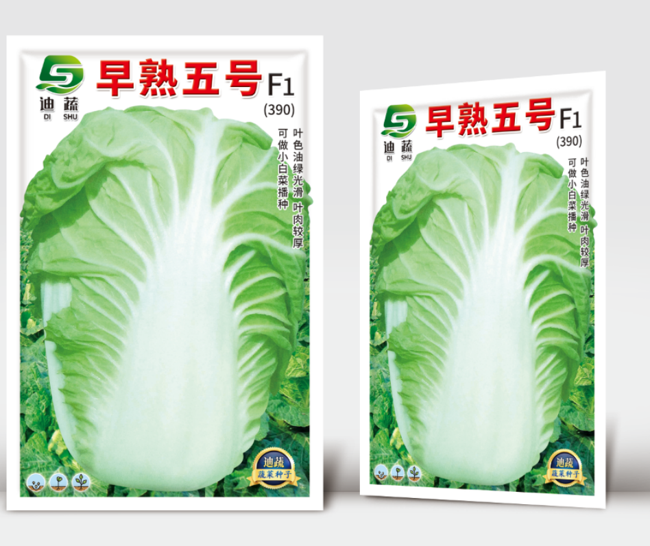 F1杂交品种早熟五号蔬菜种子大白菜（10g）