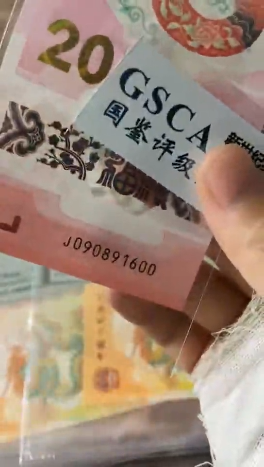【闪购商品】蛇钞 倒置 090891600