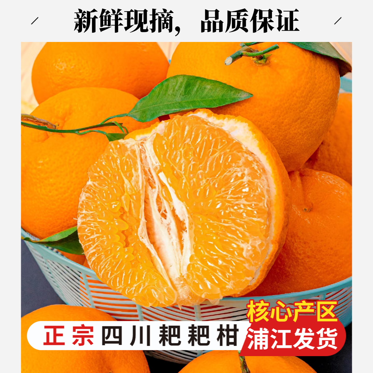 零度以上专拍 正宗四川春见耙耙柑 树上自然熟 老人小孩皆宜 核心产品浦江直发 现采现发
