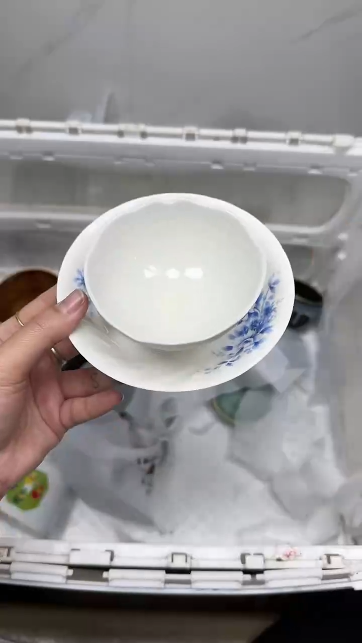 【闪购商品】5488回流瓷器默认微瑕，18.8包邮