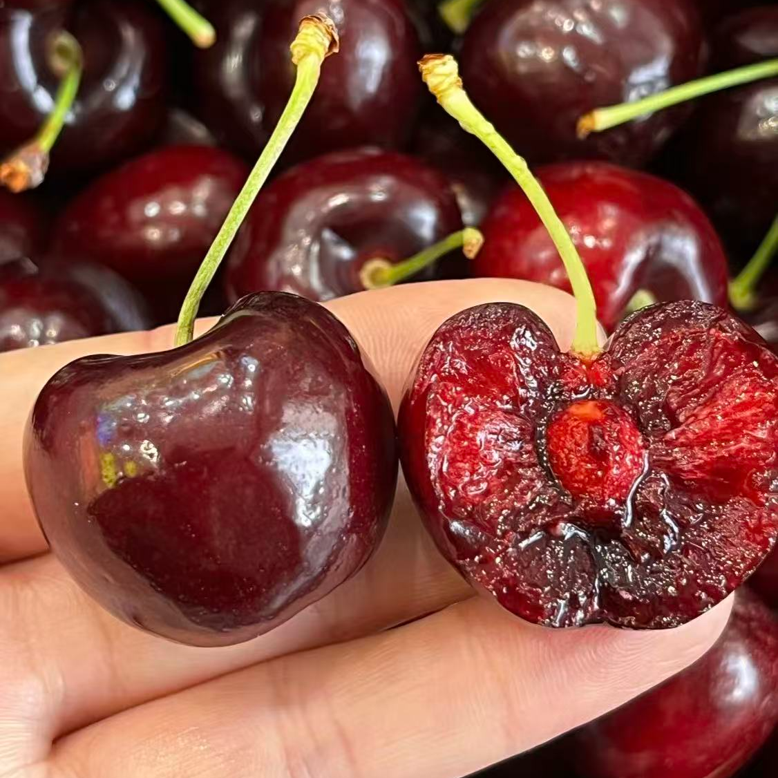 车厘子J一份约2.5KG海运智利