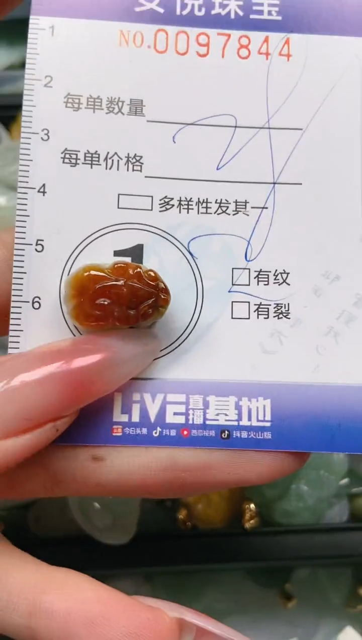 【闪购商品】翡翠颈饰未镶嵌闪购0097844
