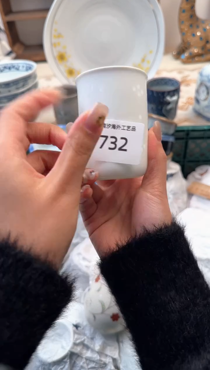 【闪购商品】瓷片Z           732