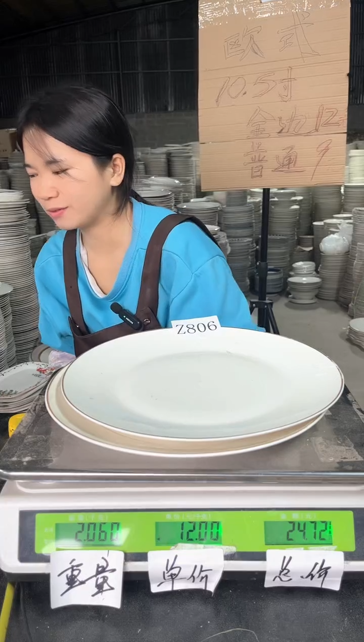 【闪购商品】搪瓷Z806  10.5寸  2个