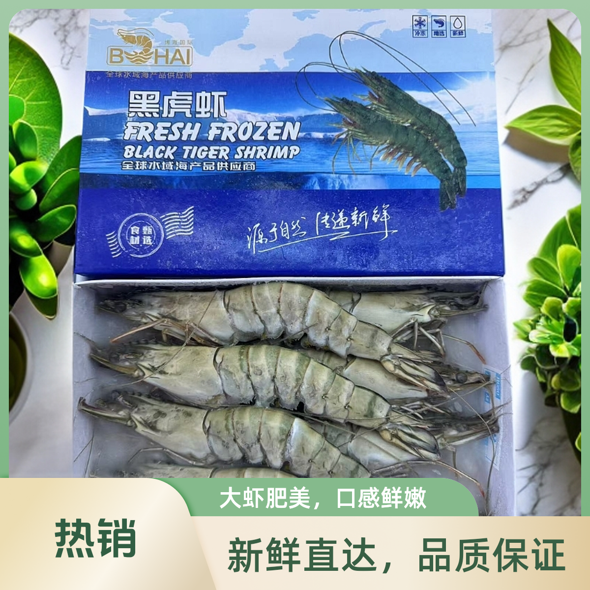 黑虎虾大个头8只