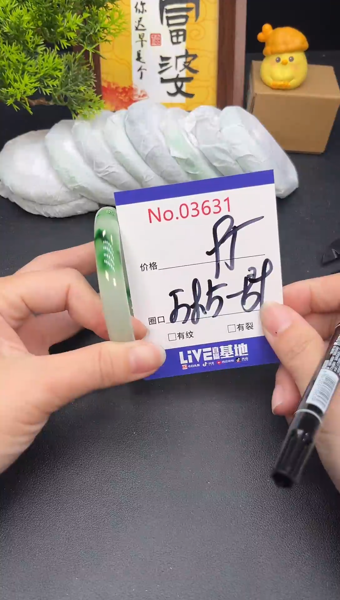 未镶嵌手镯翡翠3631