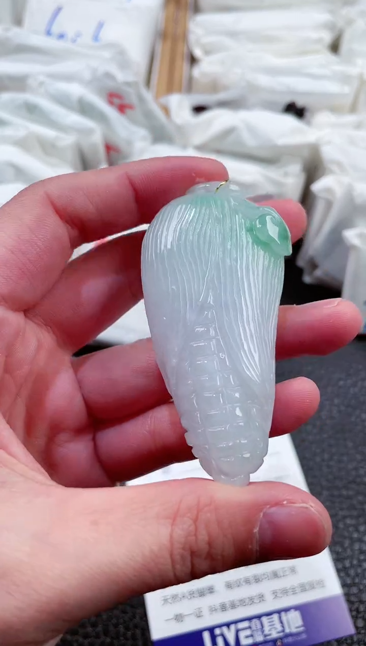 【闪购商品】翡翠颈饰未镶嵌00011953