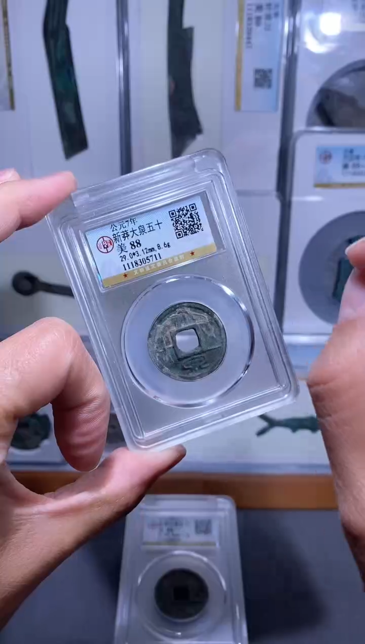 【闪购商品】铜品泉 大泉五十一枚