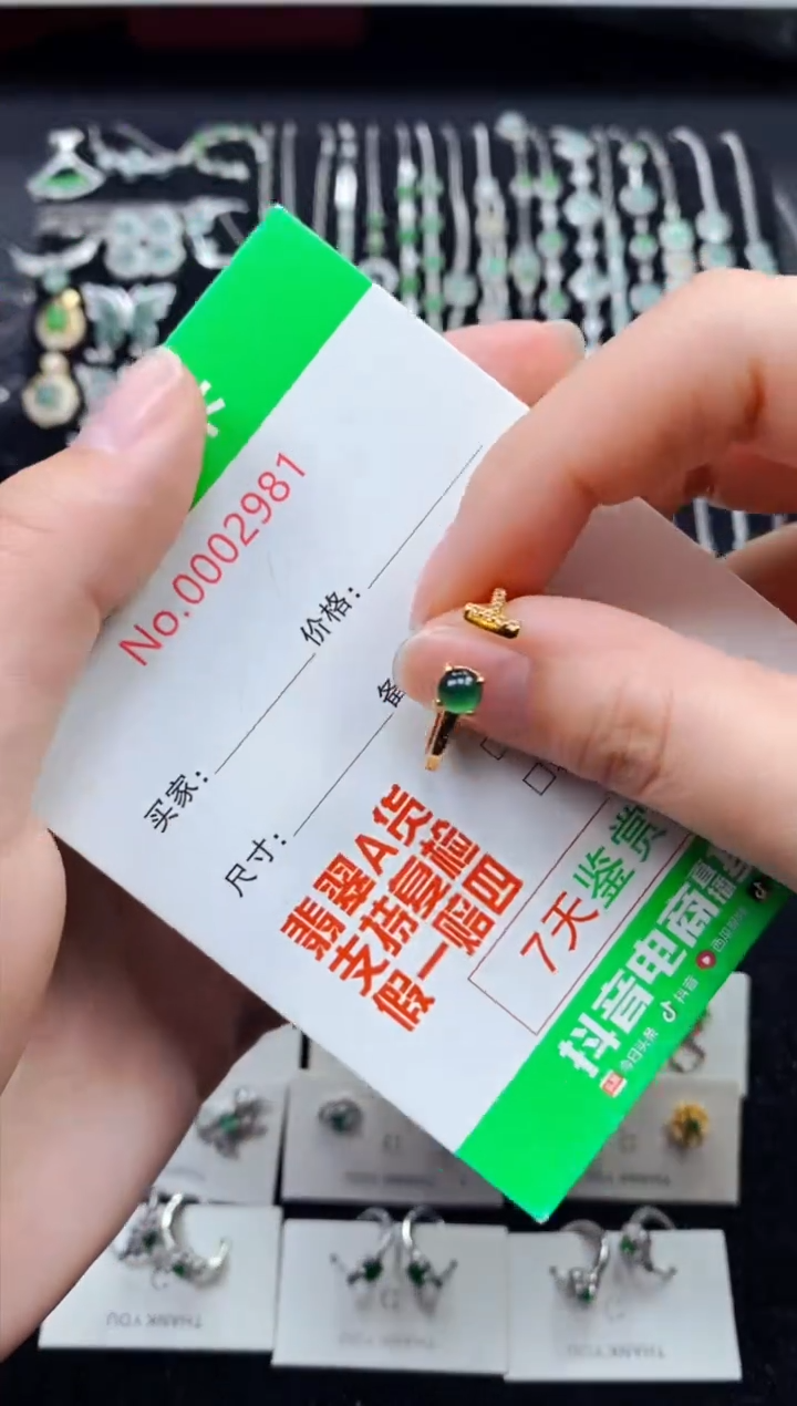 【闪购商品】翡翠戒指银S925镶嵌2981