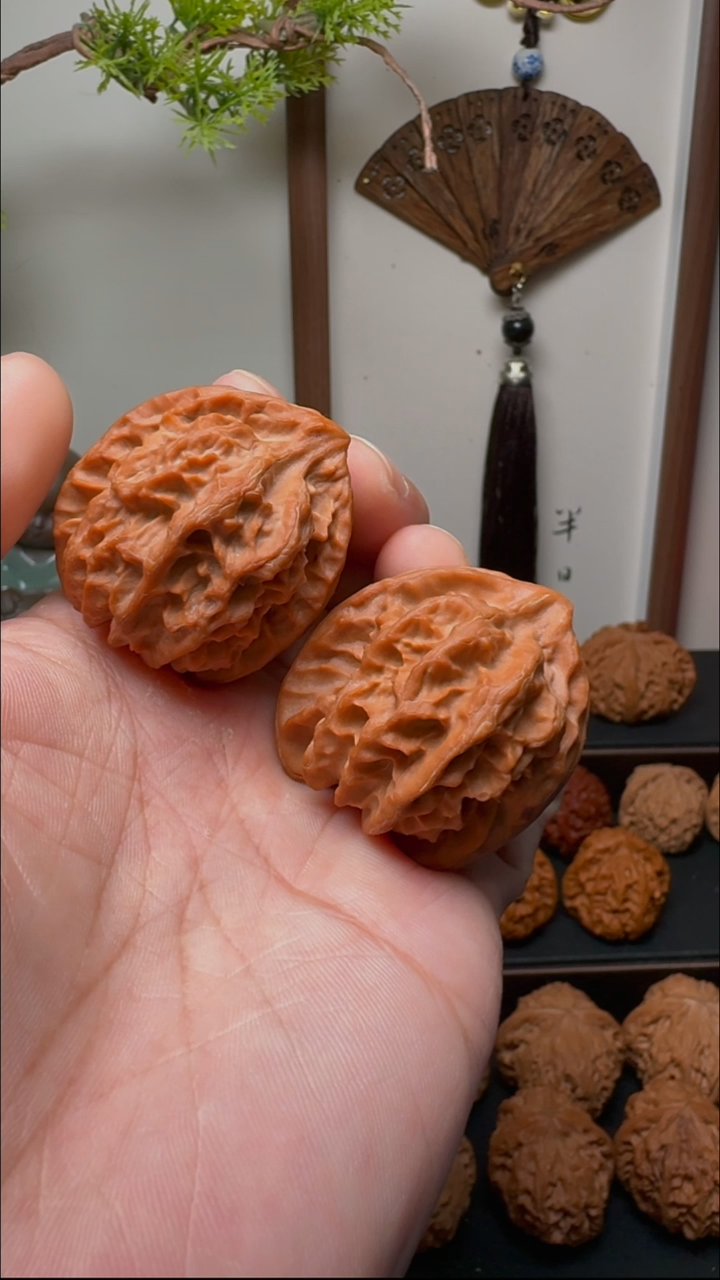 把件文玩核桃曹大龙异形鹰嘴儿 货头对 边38+