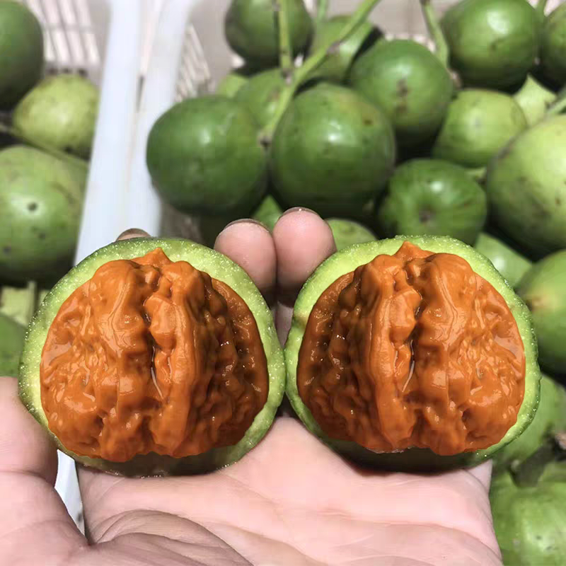 文玩核桃青皮四座楼狮子头麒麟纹大官帽可盘玩把件