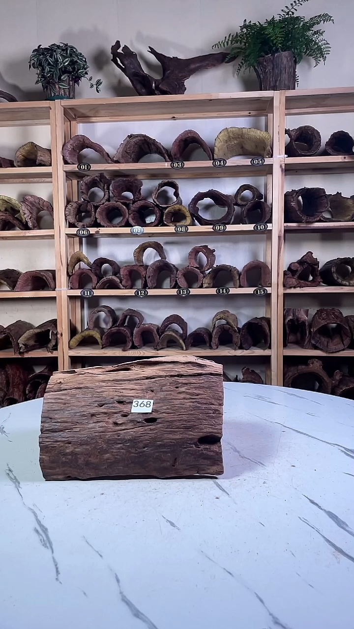 三**龟云南紫柚木造景沉木368