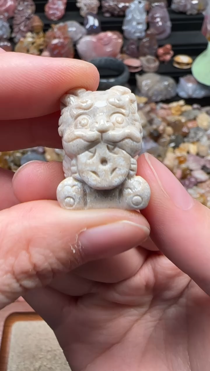 颈饰未镶嵌硅化珊瑚（珊瑚玉）324