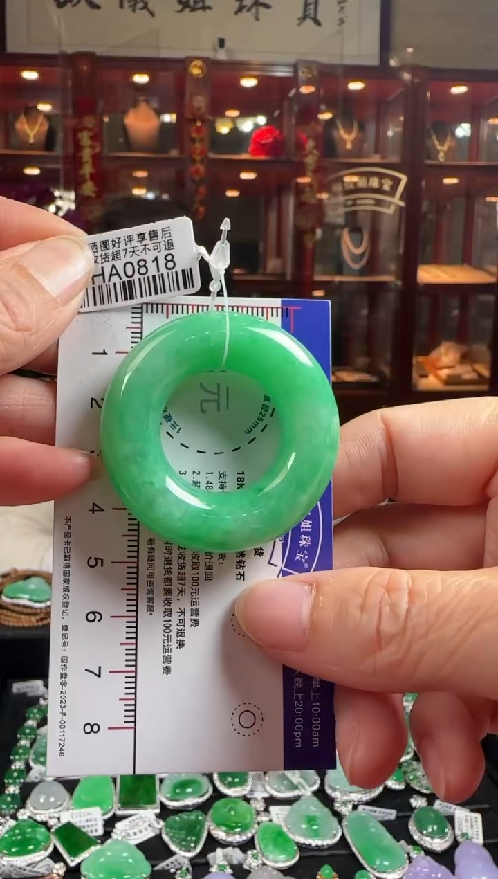 【闪购商品】翡翠颈饰未镶嵌HA0818甜甜圈