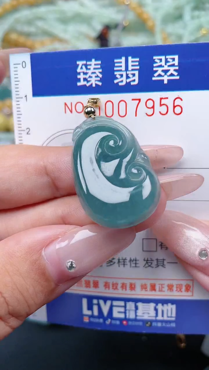 翡翠未镶嵌颈饰.0007956