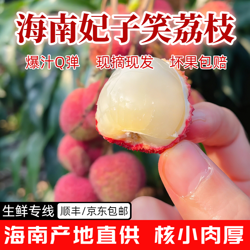 【海南妃子笑荔枝】肉厚多汁皮薄甜蜜爆汁嫩滑Q弹现货包邮1/3/5斤装