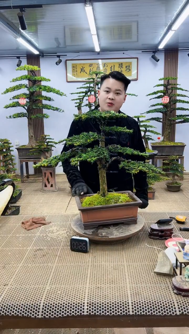 【闪购商品】0000000