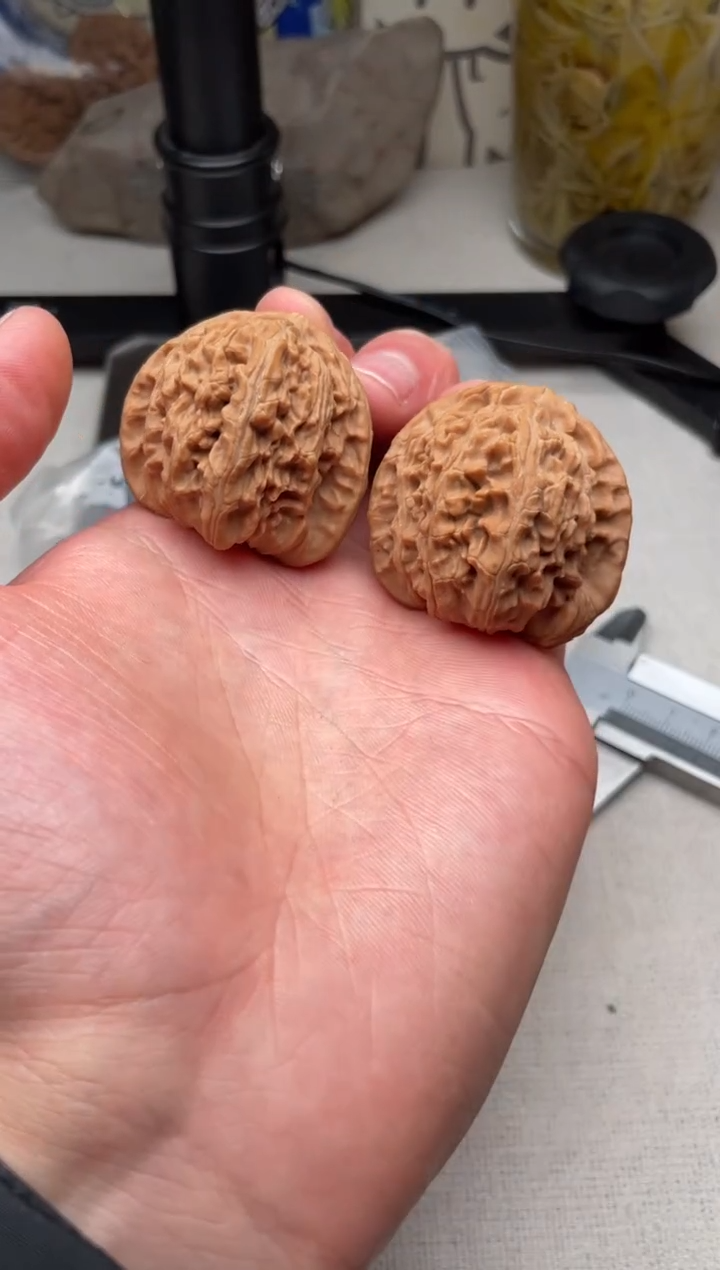 把件文玩核桃练手对白狮子