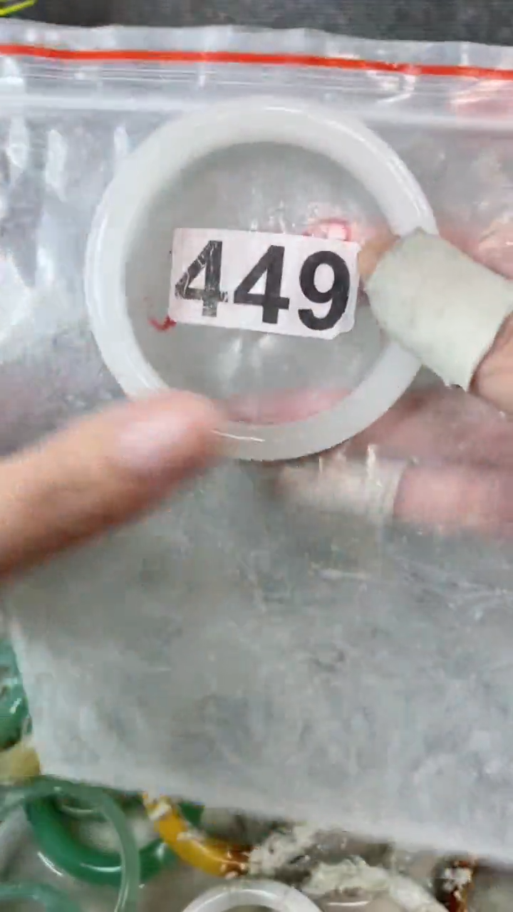 【闪购商品】石英质玉手镯未镶嵌5657+449